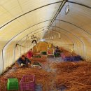 공항농장 이미지