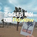 별밤 | 조슈아트리 스팟 찾아서 별밤 올인투어 후기