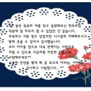 서광유치원 이미지