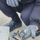 내항 공중화장실 | [태안] 마검포 : 낚시 + 해루질 둘 다 즐길 수 있는 곳 4월초 방문 후기 1탄(마검포항/마검포방파제)