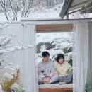 강남펜션 | 강원도 영월숙소 숙소추천 스테이산골강남 독채펜션(내돈내산⭕️, 솔직후기)
