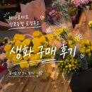 산포마트