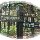 내서농협 호계지점