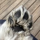 메이크펫 이미지