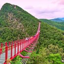 출렁다리 이미지