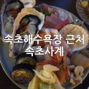 속초교육도서관 | 속초해수욕장맛집 속초맛집｜숙성사시미와 우니크림파스타, 속초사계 후기