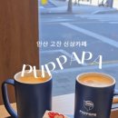 푸르파파 안산고잔점 이미지