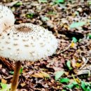 THE웃는치과의원 이미지