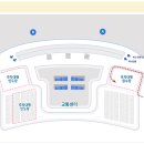 아미노코리아