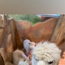 라라쥬카페 이미지