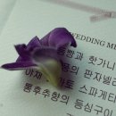 아이모헤어
