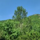 초원산장 이미지