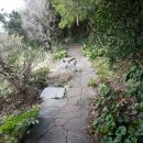 남원읍 태흥1리 교차로 입구 남쪽 | 제주 올레길 6일차 걷기(4코스,5코스일부)