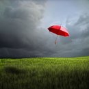 프린시스 이미지