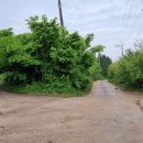 조산농장 이미지