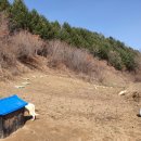 계촌 농장 이미지