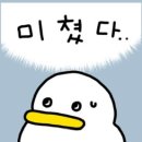 원조할머니왕족발 | 장충동 족발 맛집 원조 평남 할머니집 장충동왕족발 내돈내산