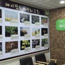 인천 섬 대이작도 여행 해양생태관 관람 후기