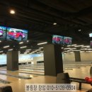 고릴라 볼링샵
