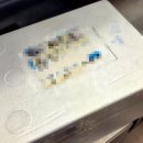 [다니에르 리뷰] 맛있는 자두추천 자두제철 후무사 대석자두 후기