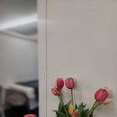 파티마피부관리실