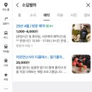 제주야애월 민박 | 효리네 민박, 소길별하 예약 방법 및 후기! feat. 효리네 민박을 보고 간 사람이라면 두 배 재밌는 곳!