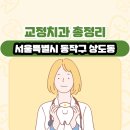 서울특별시 동작구 상도동 교정치과 총정리