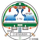 숲속공기 이미지