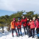 바우길 9구간 이미지