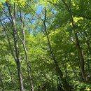 큰솔가든 이미지