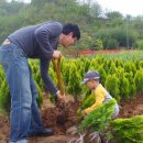 흥양농장 이미지