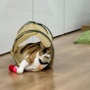 수채화로 만나는 일상 스케치 | 당근으로 즐기는 취미모임_ 부천소모임 오일파스텔 어반스케치 수채화그림