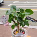 풍호동행정복지센터 이미지