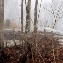 차돌배기로 이미지