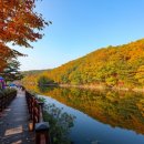 입곡군립공원(출렁다리) 이미지