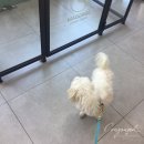 송담동물병원 이미지