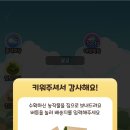 유행농장 이미지