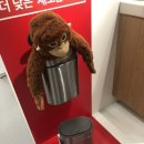 자꾸작꾸