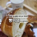 와동주민센터 | 안산 소금빵 맛집 추천! 와동 빵미남