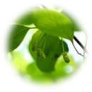 햇님경로당 이미지