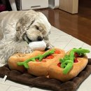 순이농장 이미지