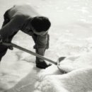 두손병원 이미지