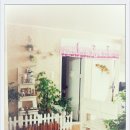 강아지 사랑 이미지