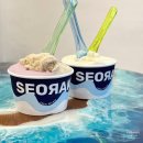 Casa Seorak(설악의 향기) | [강원도 속초 맛집] 속초 로컬 아이스크림 젤라또 가볼만한 곳, 설악젤라또
