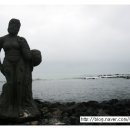 몬스터피시카페 이미지