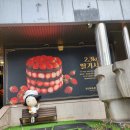 대전 성심당 케잌부띠끄 조각케이크 후기