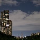 덴탈프랜즈 주식회사 이미지