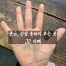 제이투 손금 관상 카페 후기. 주차, 예약, 방문 전 준비 팁