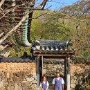 선암스테이 이미지