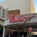 택시승강장 옆 | 초가성비 전망좋은 플라밍고호텔 (짐보관방법, 택시승강장, 전망, 장단점, 평일주말가격차이, 카페)